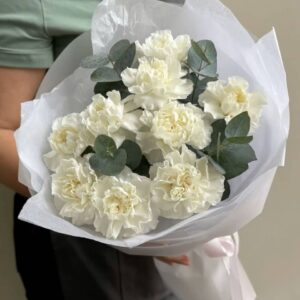 photo 2025 11 26 16 16 14