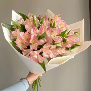 photo 2025 11 26 16 17 58