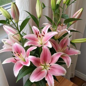 photo 2025 11 27 12 25 22