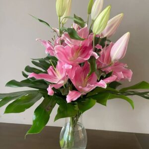 photo 2025 11 27 12 25 58