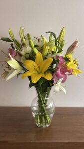 photo 2025 11 27 12 26 20