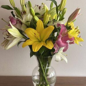 photo 2025 11 27 12 26 20