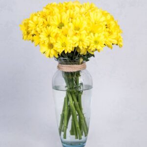 photo 2025 11 27 12 31 00