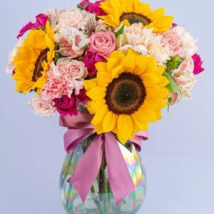 photo 2025 11 27 12 33 24