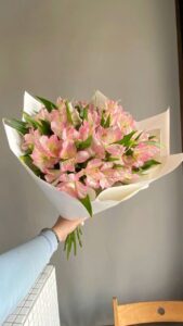 photo 2026 01 02 22 26 17