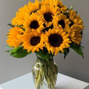 photo 2026 01 02 22 55 47